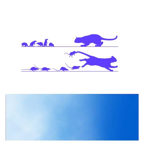 Rats Chasing Cat- Car stickers-Vinyl Decals-Cool Sticker-Funny Sticker-Laptop - Picture 10 of 14